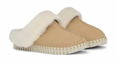 Latte Slipper IJ