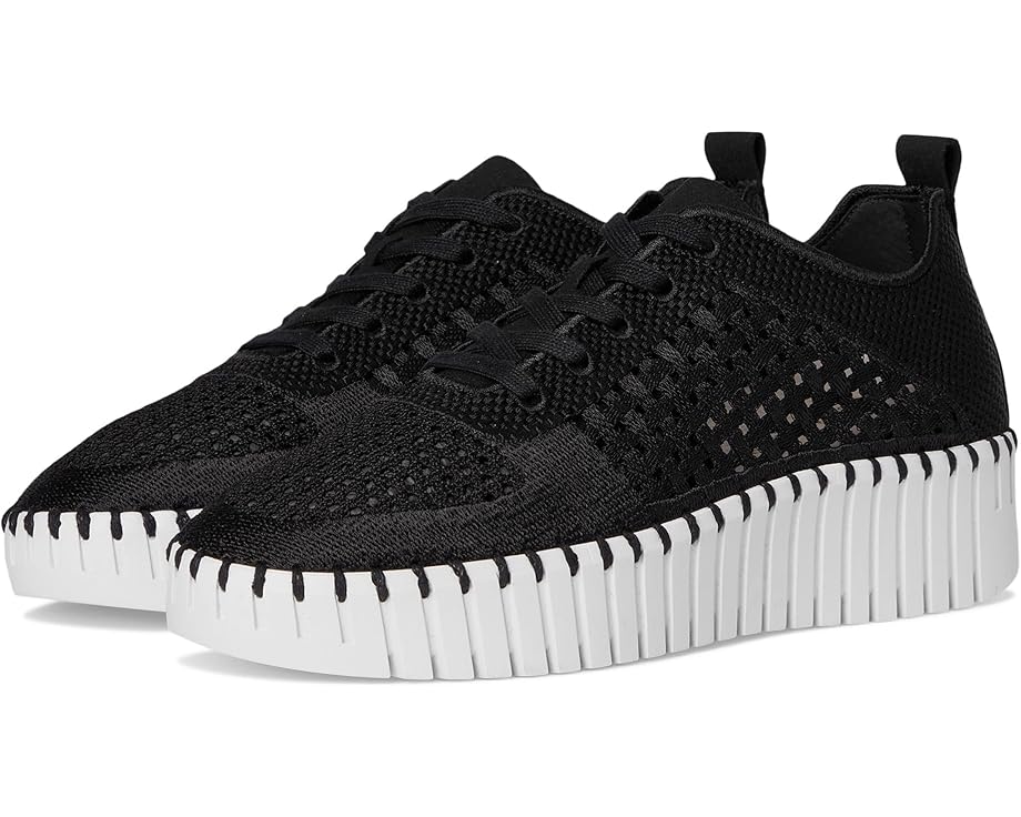 Black Lace Up Isle
